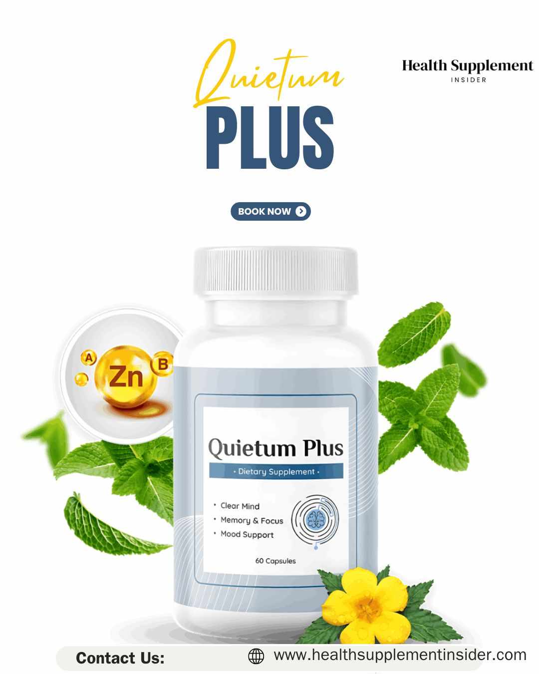 Quietum Plus Supplement A Natural Approach to Ear Wellness