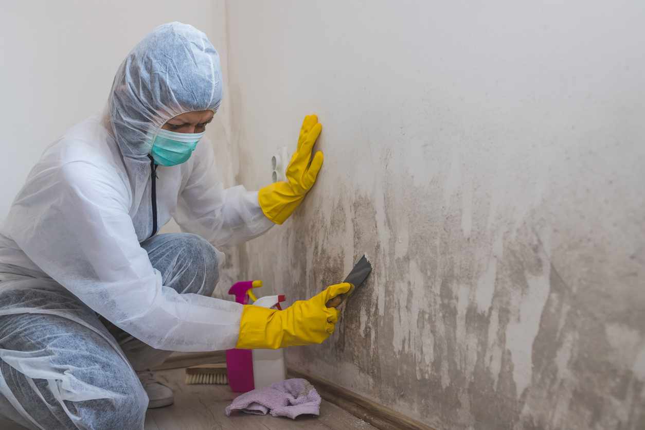 Top Reasons to Hire Experts for Mould Remediation in Sydney
