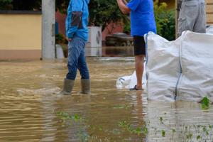 Choosing the Right Water Extraction Service for Your Property