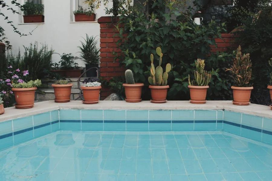 Small & Natural Pool Ideas for 2026