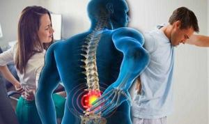 Pure Life Organics CBD Gummies™ Support Relaxation and Healthy Inflammation Response