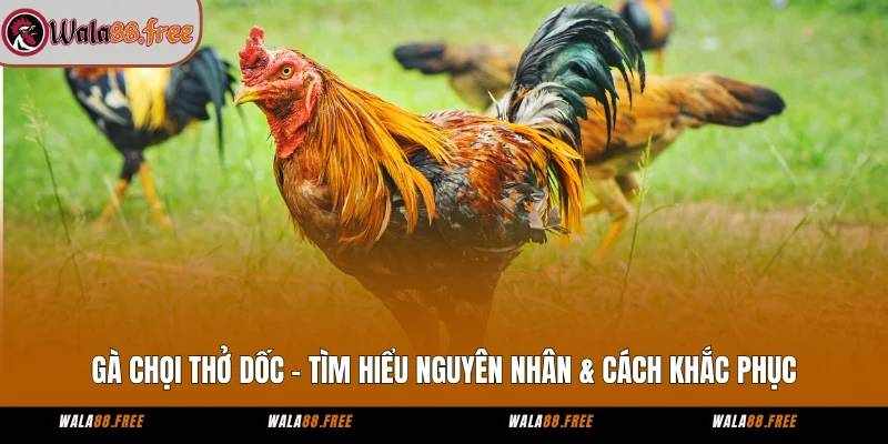 Wala88 – Nền Tảng Cá Cược Uy Tín Cho Người Yêu Thú Chơi Gà