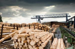 India Wood Pulp Market Analysis, Demand Outlook and Forecast Report by 2033