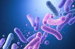 India Probiotics Market Growth, Size & Trends Report 2026-2034