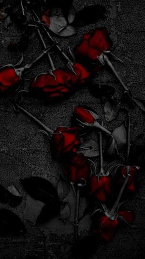 Chapter 3-  Grey Eyes and Grey Moods