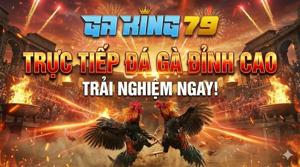 GAKING79 – TRỰC TIẾP ĐÁ GÀ THOMO, XÀ XÍA, HÀ TIÊN, TONHON, GALAXY LONG BÌNH