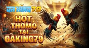 Hot Thomo – Tổng Hợp Các Trận Đá Gà Hay Nhất Thomo Hàng Ngày Tại GAKING79
