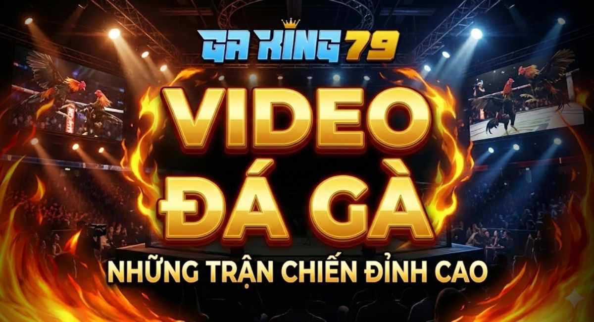 Video Đá Gà - Tổng Hợp Các Trận Đá Gà Hay Nhất Tại Thomo