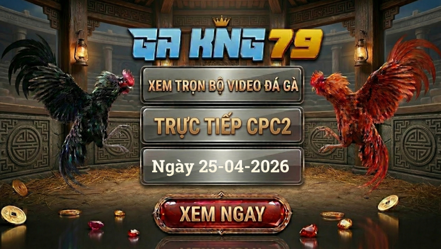 Xem Full Clip Đá Gà Trực Tiếp CPC2 Ngày 25/04/2026 - Trực Tiếp Các Trận Đấu Với Hình Ảnh Chất Lượng Cao
