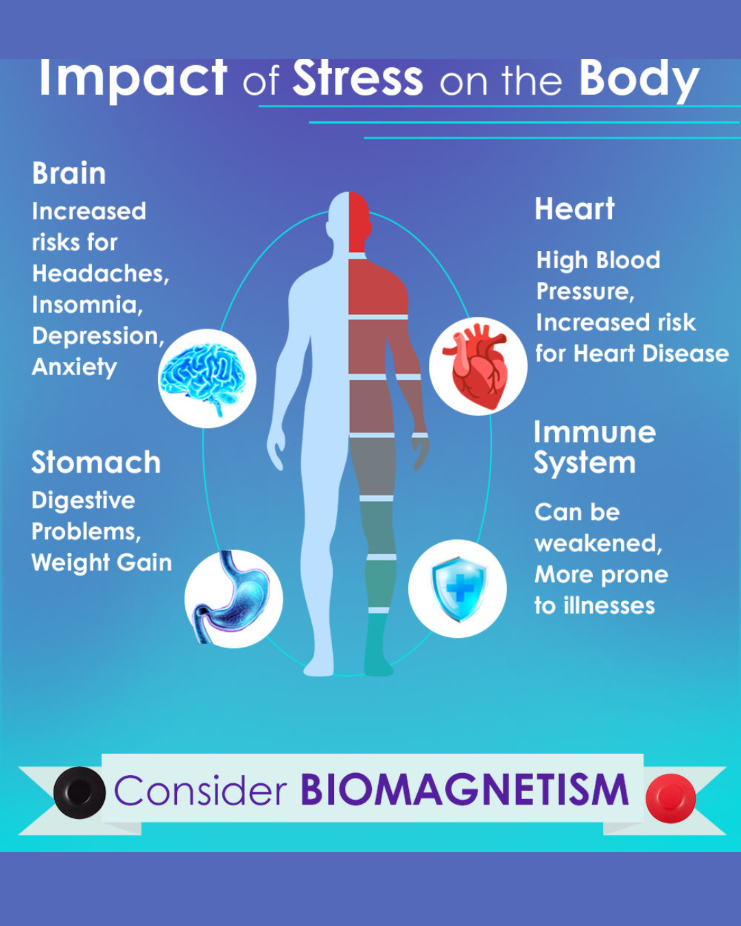 Detoxification Benefits of Biomagnet Therapy: Removing Harmful Microorganisms Naturally
