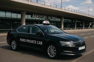 Private vs Shared Transfer Orly to Disneyland: Which Is Better?