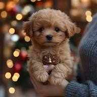 Wuffy Robot Puppy : Why It So Unique? logo