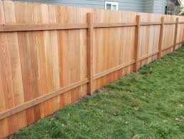 Top 10 Landscaping Services in West Auckland: What Local Experts Recommend