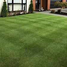 Is Natural Grass Suitable for Residential and Commercial Spaces?