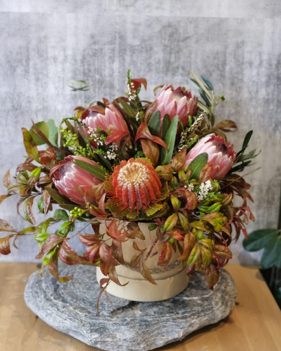 Native Australian Flowers Perfect for South Yarra Homes