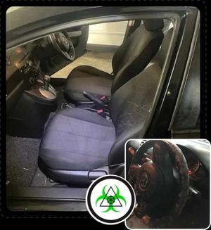 How To Keep Your Home Safe from Everyday Mould Problems