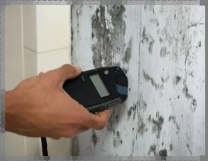 Easy Ways to Stop Mould from Growing Indoors