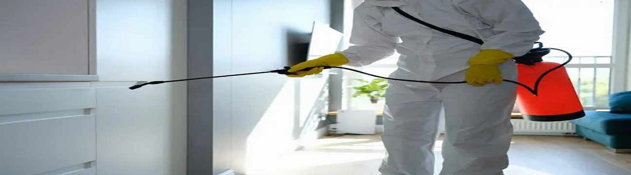 How a Mould Prevention Company Near Me Protects Residential Properties