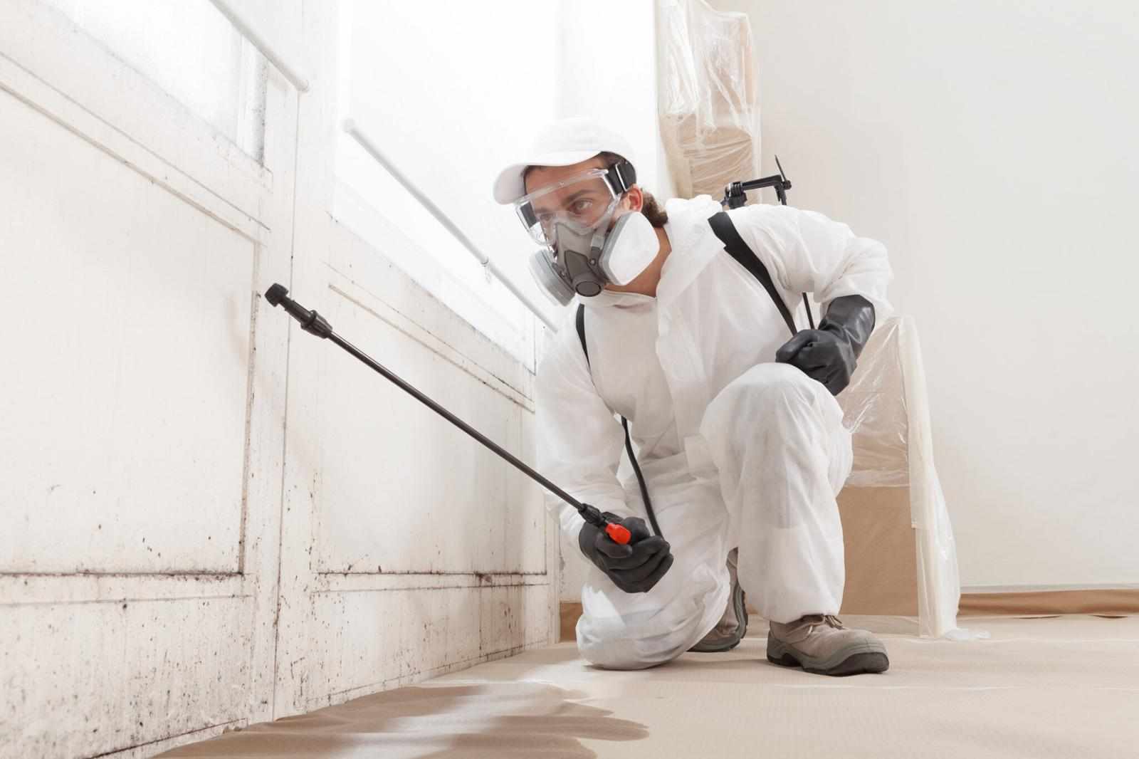 Advanced Remediation Methods From a Trusted Deep Mould Cleaning Company