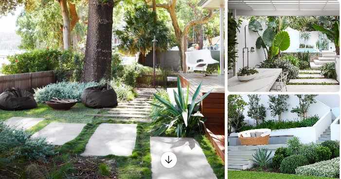 Lawn Mowing Pagewood – Professional Garden Care You Can Trust