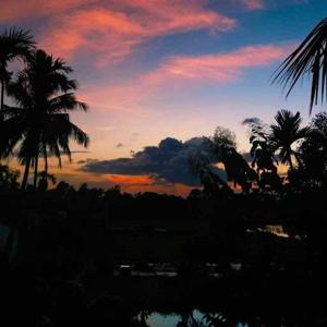 Khushi Bhadouria logo