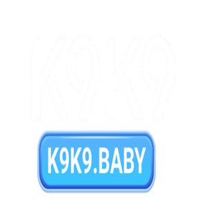 K9K9 logo