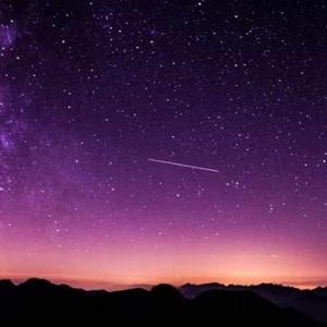 Divyanshi Rawat logo