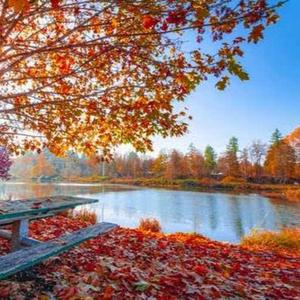 Natasha Aggarwal logo