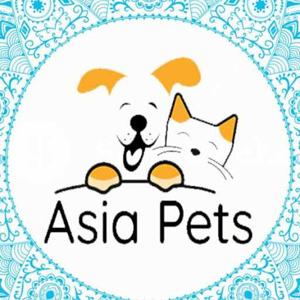 Asia Pets logo