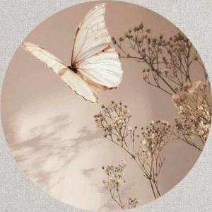 Shayana Mahadew logo