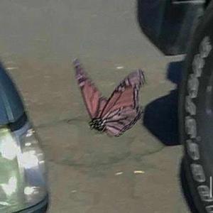 Rofaida Bentahar logo