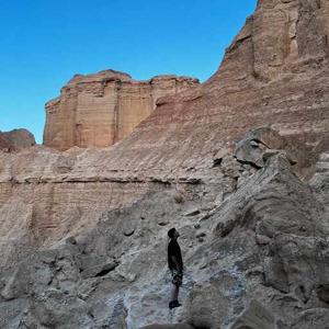 mohammad kardan logo