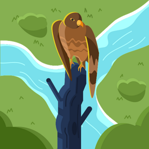 Myfirst College logo