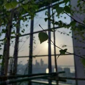 Pratikshya Nayak logo