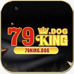 79kingdog