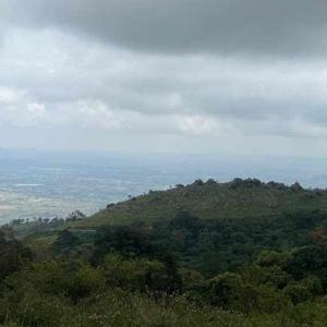 Minchu Shrihari logo