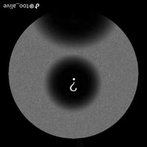 Aarish Choudhary logo