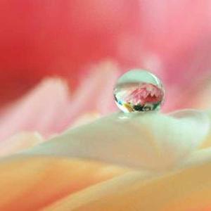 Maneesha TS Ajit logo