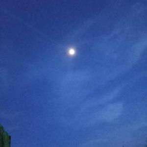 lakshmi chopparapu logo