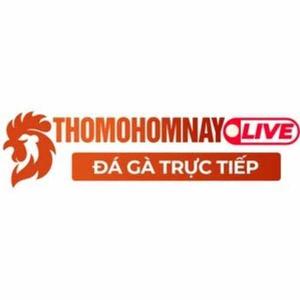 Đá Gà Trực Tiếp ThoMoHomNay logo