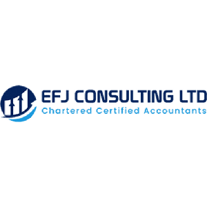 Efj Consulting logo