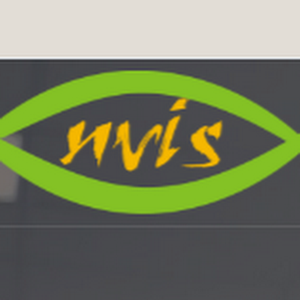 Nvis Technologies logo