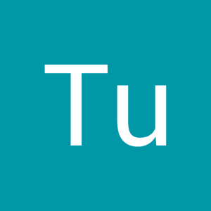 Tu Xinh logo