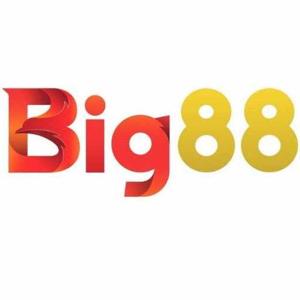 Big88 logo