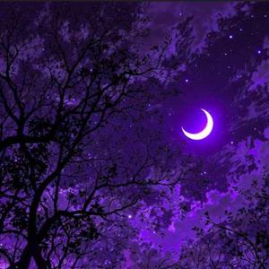 Punarvika Pasupuleti logo