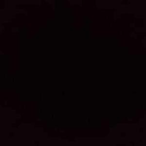 swetha shivangini logo