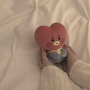 Shateya Nausheen logo