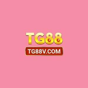 Tg88v com