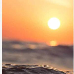 Toral Vijaysinh Solanki logo