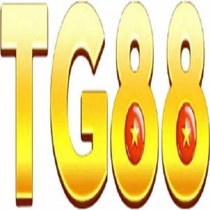 Tg88ny com